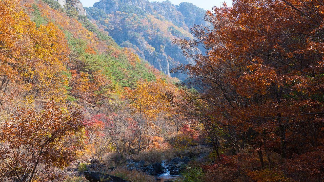 韓国地方旅行、韓国国立公園、智異山、周王山、雪岳山、韓国秋、韓国紅葉、五台山